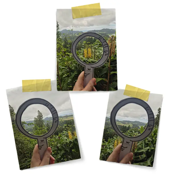 זכוכית מגדלת מנייר ממסגרת חלק מהנוף, מדגימה איך שינוי המסגרת משנה את התפיסה