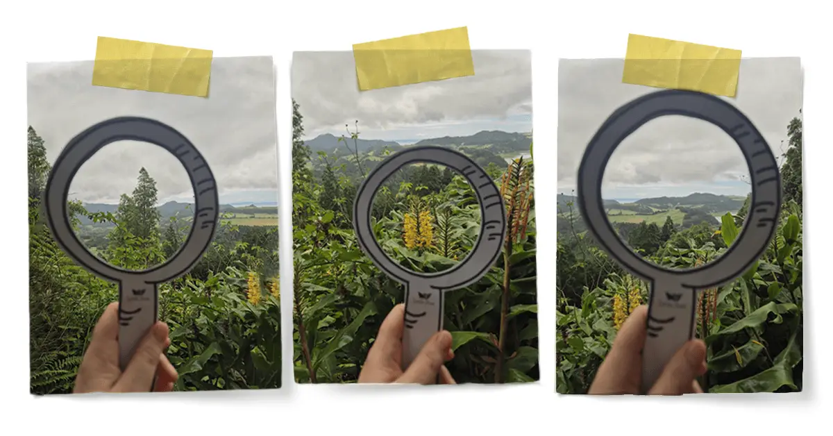 זכוכית מגדלת מנייר ממסגרת חלק מהנוף, מדגימה איך שינוי המסגרת משנה את התפיסה