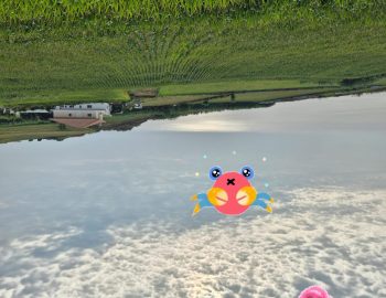 צורות בעננים, עננים כאילו הם הים, ממחישים פארידוליה ותפיסה חזותית בפסיכולוגיה