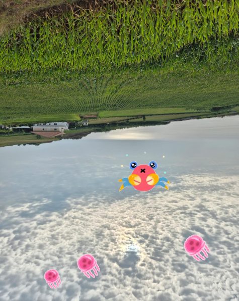 צורות בעננים, עננים כאילו הם הים, ממחישים פארידוליה ותפיסה חזותית בפסיכולוגיה