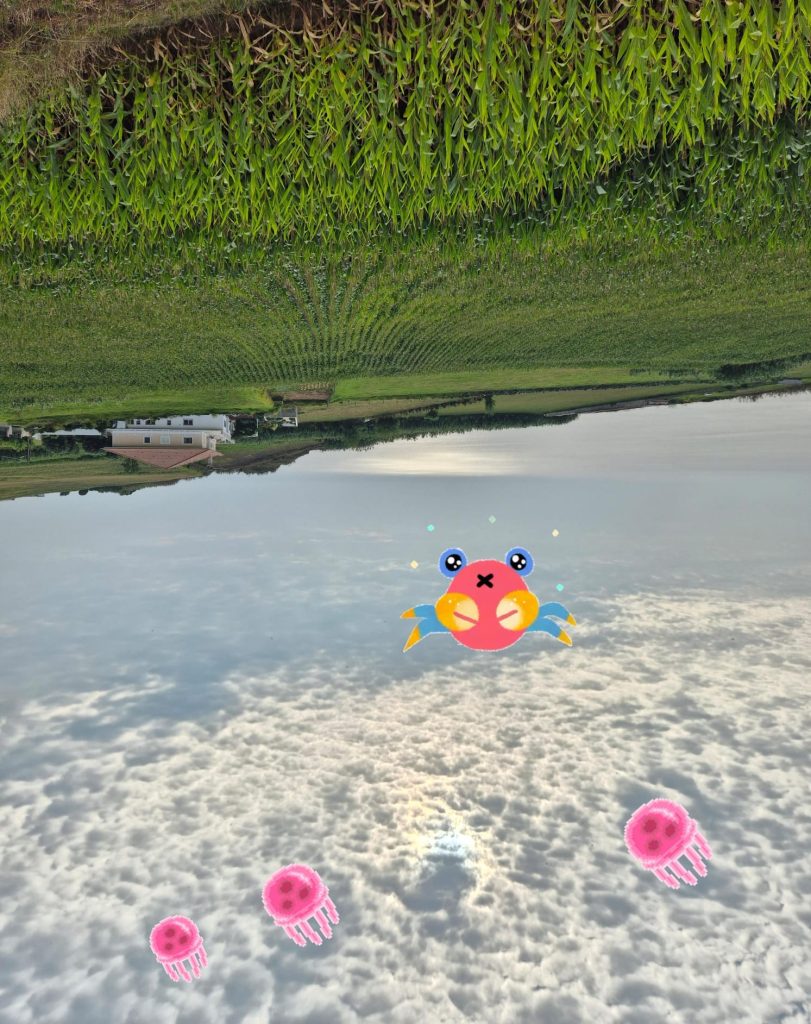 צורות בעננים, עננים כאילו הם הים, ממחישים פארידוליה ותפיסה חזותית בפסיכולוגיה