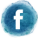 Facebook Icon